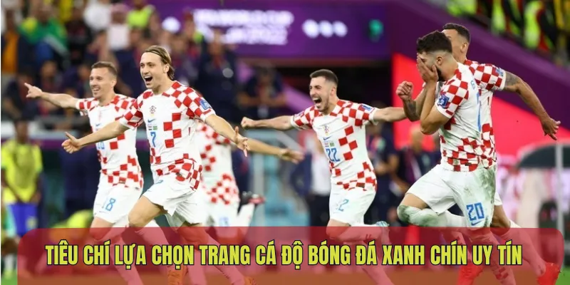 Tiêu Chí Lựa Chọn Trang Cá Độ Bóng Đá Xanh Chín Uy Tín